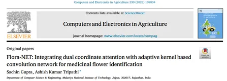 YOLOv11 改进 - 注意力机制 | DCAFE双坐标注意力：并行坐标注意力 + 双池化融合