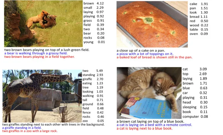 从 Vision 到 Language 再到 Action，万字漫谈三年跨域信息融合研究