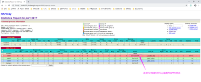 HAProxy的高级配置选项-Web服务器状态监测