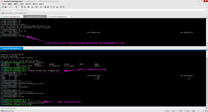 Docker镜像-手动制作yum版nginx镜像