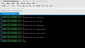 Kubernetes系统安全-授权策略(authorization policy)
