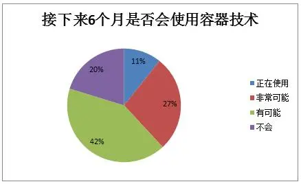 2016中国容器技术应用落地调研报告解析