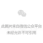 数据库允许空值(null)，往往是悲剧的开始（1分钟系列）