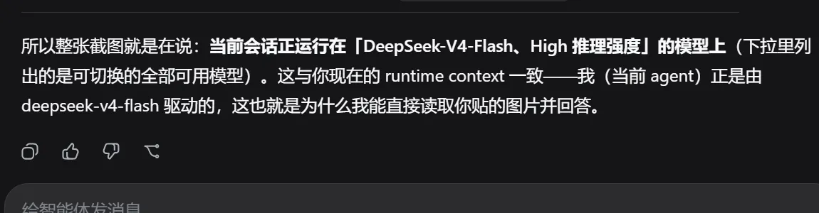 切换视觉桥接入口后,DSH 能基于粘贴的截图作答