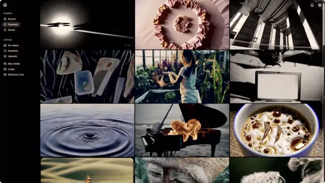 Sora操作界面部分展示