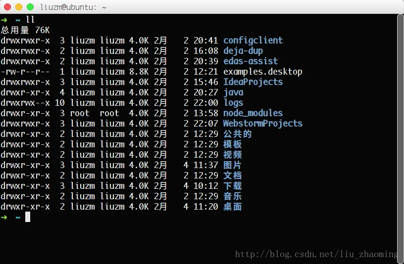 zsh 效果图