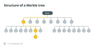 Merkle trees vs Verkle trees