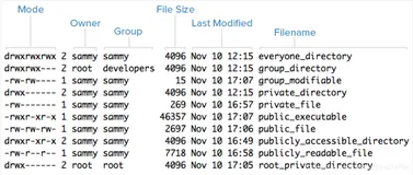 跟着老万学linux运维(4)-文件权限