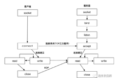 0基础也看得懂的 I/O 多路复用解析（超详细案例）