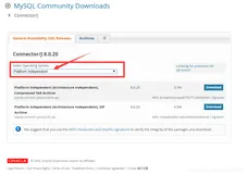 如何下载安装JDBC_jar包，MySQL_JDBC_jar包的下载与使用（Windows）