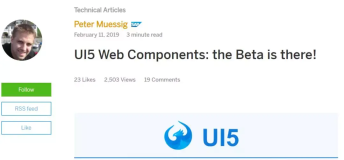 用 React 结合 SAP UI5 Web Components 来开发 SAP Fiori 应用