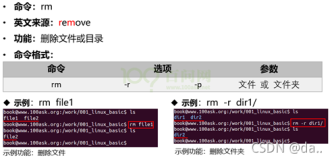 嵌入式linux/鸿蒙开发板(IMX6ULL）开发 （二）Ubuntu操作入门与Linux常用命令（中）