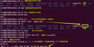 操作系统--Linux操作实验报告