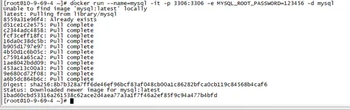 Centos7下Docker搭建Matomo(基于 PHP5+MySQL 技术构建的开源网站访问统计系统)