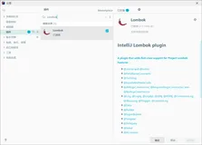 充满争议的 Lombok
