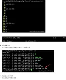 【Linux】vim打开文件的警告信息
