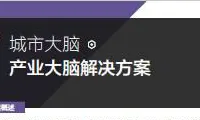 城市大脑 | 产业大脑解决方案