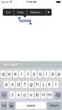 iOS剪切板UIPasteboard开发应用解析（一）
