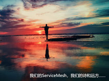 诗和远方：蚂蚁金服 Service Mesh 深度实践 | QCon 实录