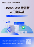免费下载！ 《OceanBase 社区版入门到实战》 快人一步，成为游刃有余的分布式数据库专家！