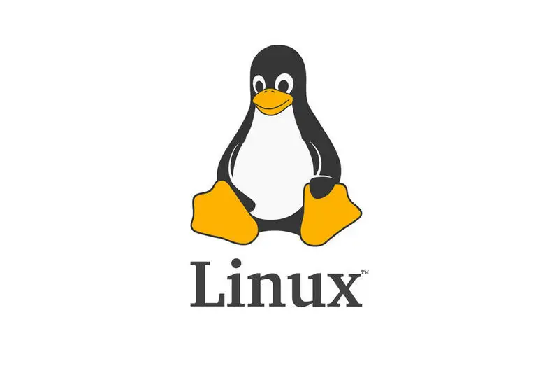 Linux LVM 磁盘扩容