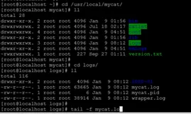 MyCat - 配置文件详解 - schema.xml 之 schema 配置详解 | 学习笔记
