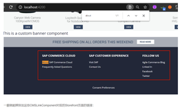 SAP Spartacus页面底部的Component请求