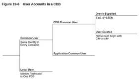 Oracle学习笔记之19c的公共用户和本地用户