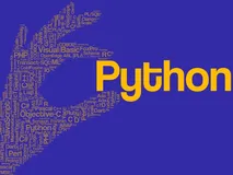 2021 最 Top 的编程语言是 Python，而不是 JavaScript？