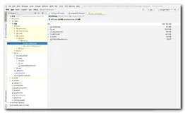 【Android 安装包优化】开启 ProGuard 混淆 ( 压缩 Shrink | 优化 Optimize | 混淆 Obfuscate | 预检 | 混淆文件编写 | 混淆前后对比 )