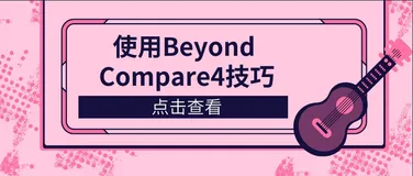 使用Beyond Compare4技巧
