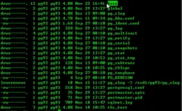 7 PostgreSQL 物理备份和还原，逻辑备份和还原|学习笔记