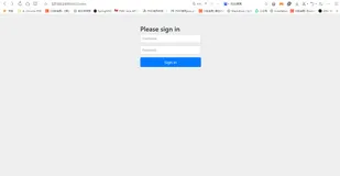 SpringBoot项目启动后网页显示【Please sign in】的解决办法