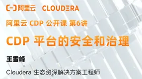 CDP 平台的安全和治理