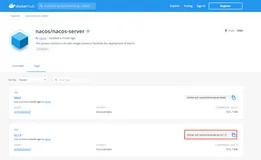 Docker+Mysql部署Nacos2.1.0