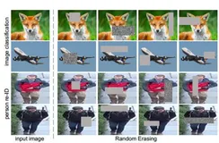 Pytorch教程[03]transforms（二）