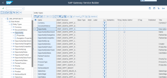SAP SEGW 里的 Entity Type 作用讲解