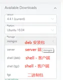 .NET Core+MongoDB集群搭建与实战