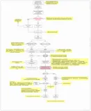 ES选举：Elasticsearch中Master选举完全解读