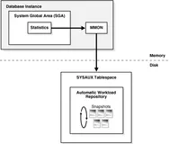  Automatic Workload Repository (AWR)
