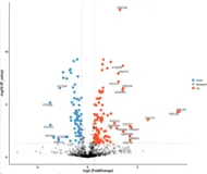 答疑| ggplot 绘制火山图并添加文字标签