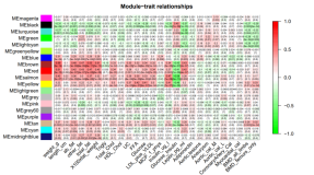 WGCNA 简明指南|2. 模块与性状关联分析并识别重要基因
