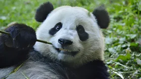 面试周连续剧之尘埃落定