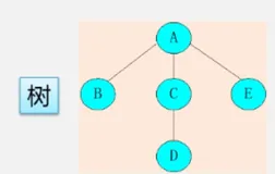 【数据结构和算法】树与森林&树与二叉树的转换