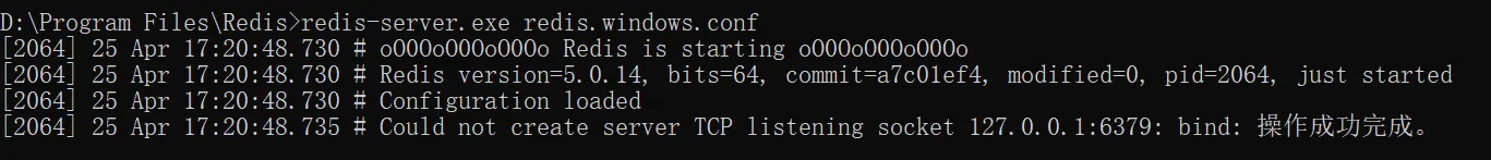 Could not create server TCP listening socket 127.0.0.16379 bind 操作成功