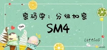 【密码学】一文读懂SM4