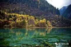 【RPC基础系列2】一文搞懂gRPC和Thrift的基本原理和区别