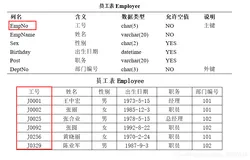 数据库原理与应用（SQL Server）笔记 第六章 数据完整性
