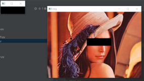 【人工智能】人脸识别检测戴口罩实战之初识OpenCV简单操作之图像处理，实现脸部打码【第二课】