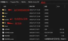 Mysql 8.0 C API连接和获取数据实例（附解决乱码的彩蛋）